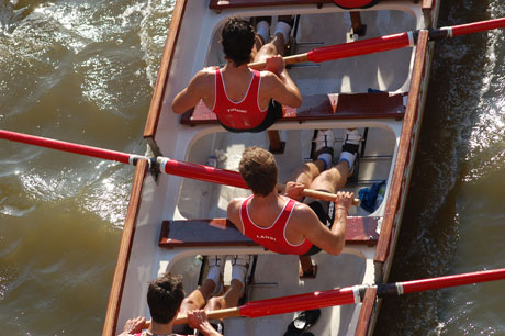 rowers-aerial