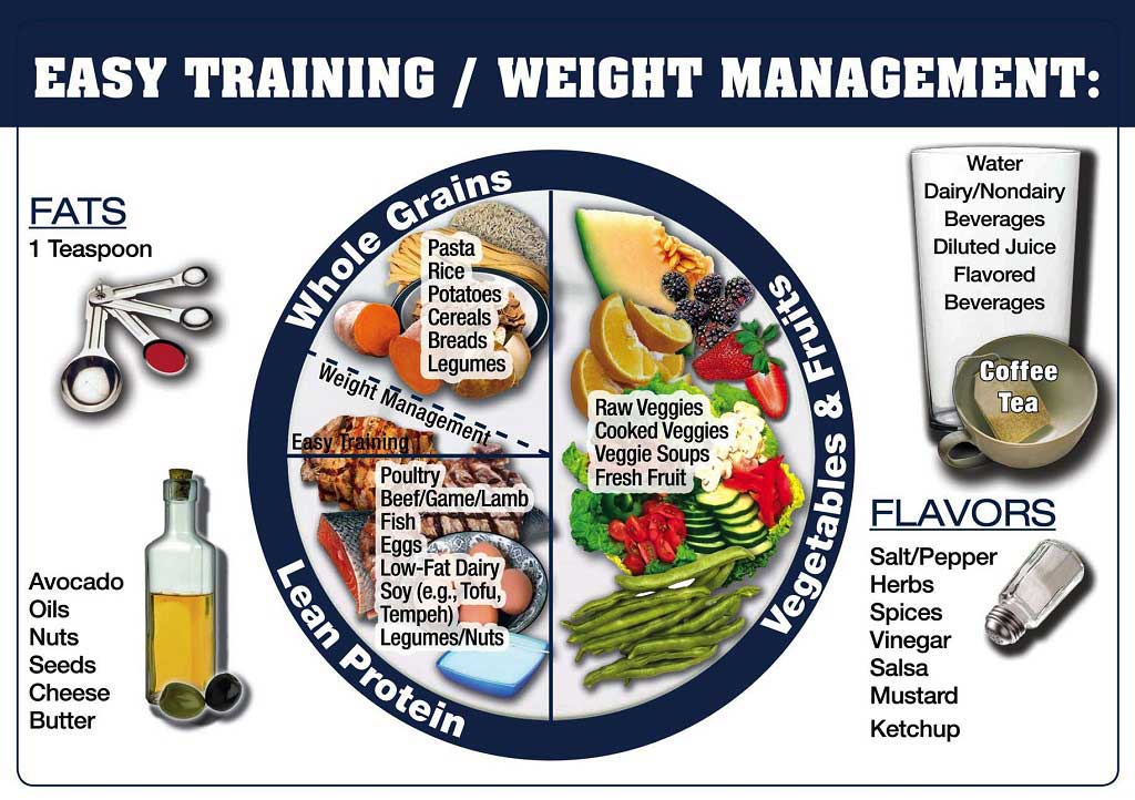 Athletic nutrition guidelines for easy training and weight management